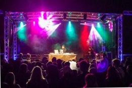 Wild Night Fest