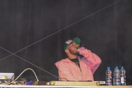 Wild Night Fest