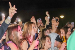 Wild Night Fest