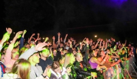 Wild Night Fest