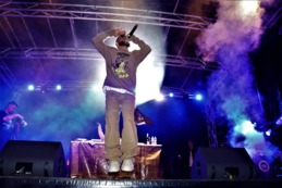 Wild Night Fest