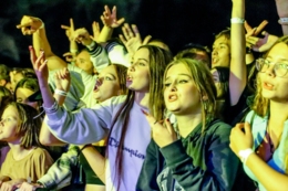 Wild Night Fest