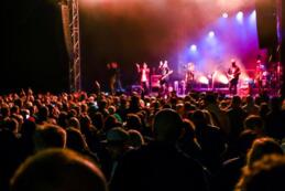 VIII Festiwal Piwa