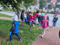 Sprzątanie Świata 2022