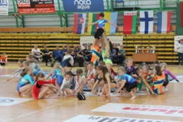 XXIX Międzynarodowy Turniej Siatk&oacute;wki