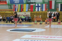 XXIX Międzynarodowy Turniej Siatk&oacute;wki