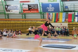 XXIX Międzynarodowy Turniej Siatk&oacute;wki