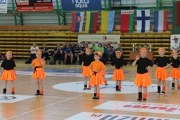 XXIX Międzynarodowy Turniej Siatk&oacute;wki