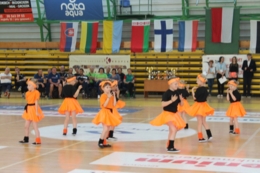XXIX Międzynarodowy Turniej Siatk&oacute;wki