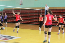 XXIX Międzynarodowy Turniej Siatk&oacute;wki