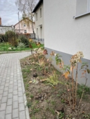 Rewolucje podw&oacute;rkowe 2022
