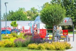 Park Nowe Oblicze