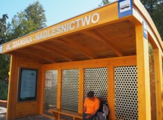Odsłonięcie Gwiazdka Leśnika