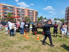 Dzień Dziecka z Policją i Strażą 2023