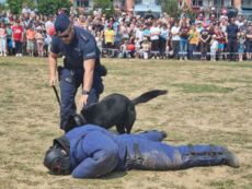 Dzień Dziecka z Policją i Strażą 2023