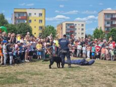 Dzień Dziecka z Policją i Strażą 2023