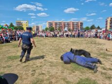 Dzień Dziecka z Policją i Strażą 2023