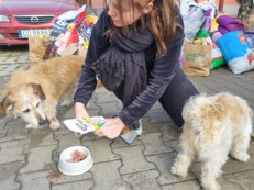 Dzień Kundelka OTOZ 2023