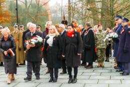 Narodowy dzień Niepodległości I