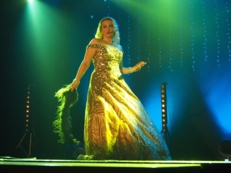 Gala Mecenas&oacute;w i Przyjaci&oacute;ł Kultury oraz Koncert Noworoczny