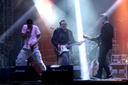 V festiwal piwa