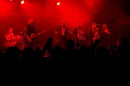 V festiwal piwa
