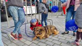 koncert DOLINA DOBROCI