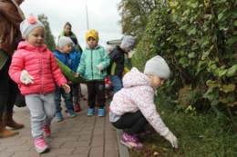 Sprzątanie Świata 2017