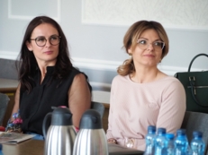 Rada Kultury