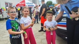 Piknik Rodzinny In Fortes 