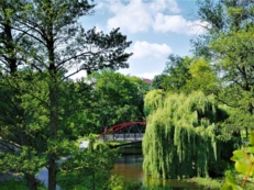 Park