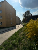 Otwarcie ulicy Osiedlowej