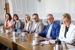 Rada Gosdpodsarcza