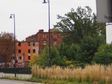 32. Bieg Kociewski z Polpharmą