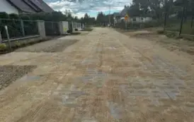 Kasztanowa (1)