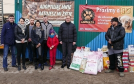 Pomoc dla schroniska
