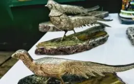 XXX Krajowy Turniej Strzelecki o Złote , Srebrne i Brązowe Pierścienie Św. Katarzyny w Starogardzie Gdańskim 5