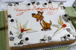 Pomoc dla schroniska