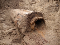 Badania archeologiczne na Rynku
