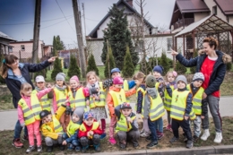 Akcja sadzenie drzew na 100-lecie niepodległości