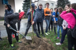 Akcja sadzenie drzew na 100-lecie niepodległości