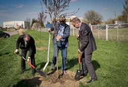Akcja sadzenie drzew na 100-lecie niepodległości