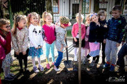 Akcja sadzenie drzew na 100-lecie niepodległości