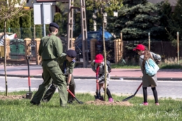 Akcja sadzenie drzew na 100-lecie niepodległości
