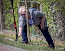 Akcja sadzenie drzew na 100-lecie niepodległości