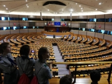 Starogardzcy harcerze na InterCamp