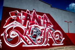 Mural przy Skateparku