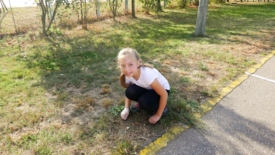 Sprzątanie świata 2018