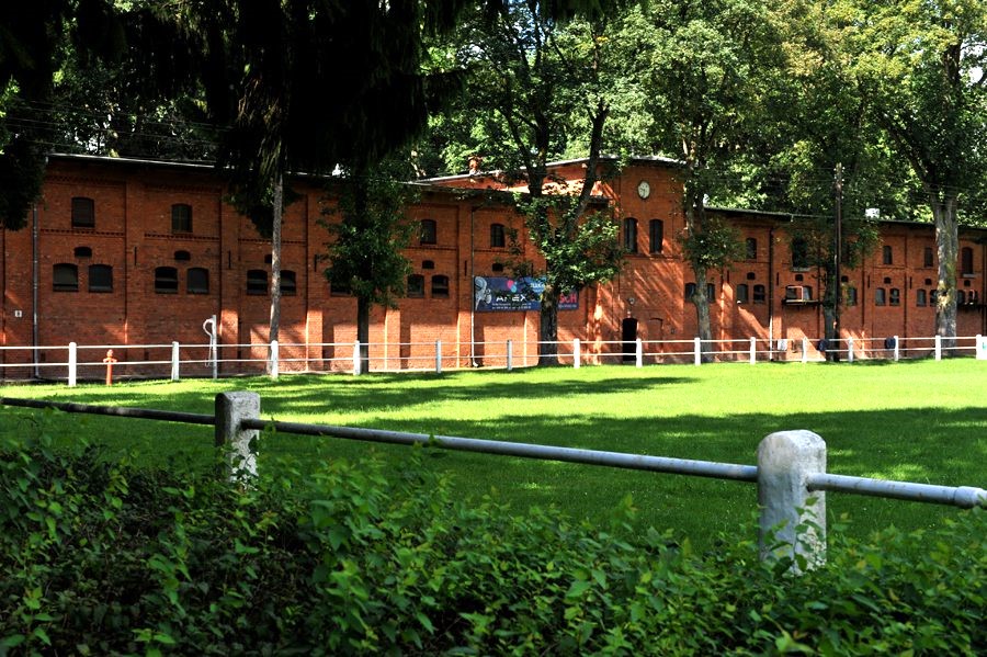 stado ogierów starogard gdański (zrodlo.fb stado ogierow)