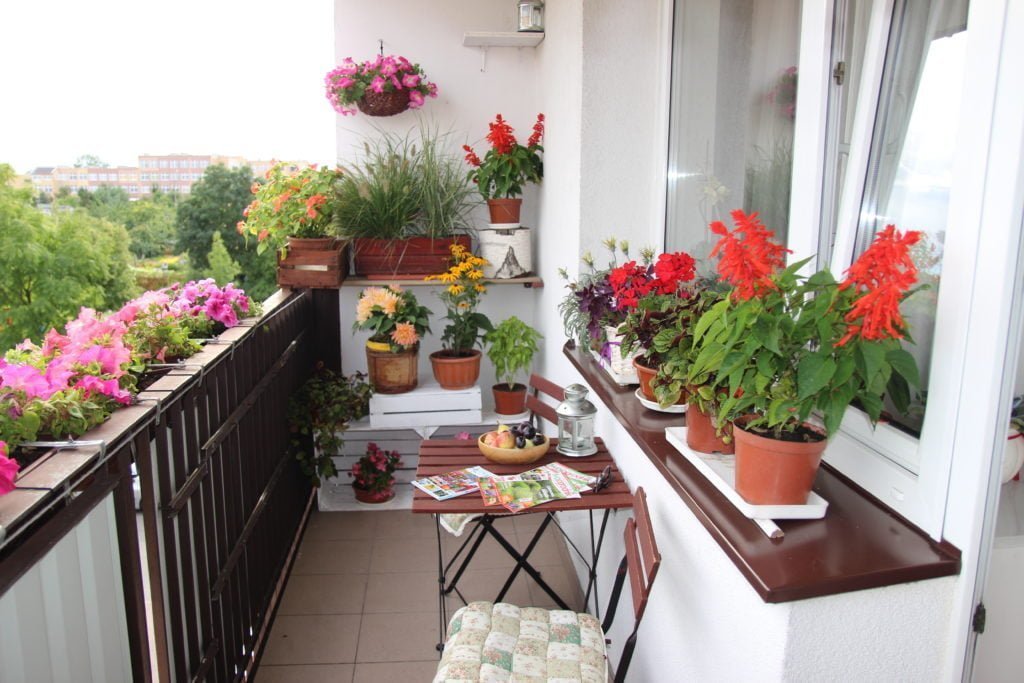 I miejsce Pan Jerzy Bigus  "Najładniejszy Balkon w Starogardzie Gdańskim 2016"